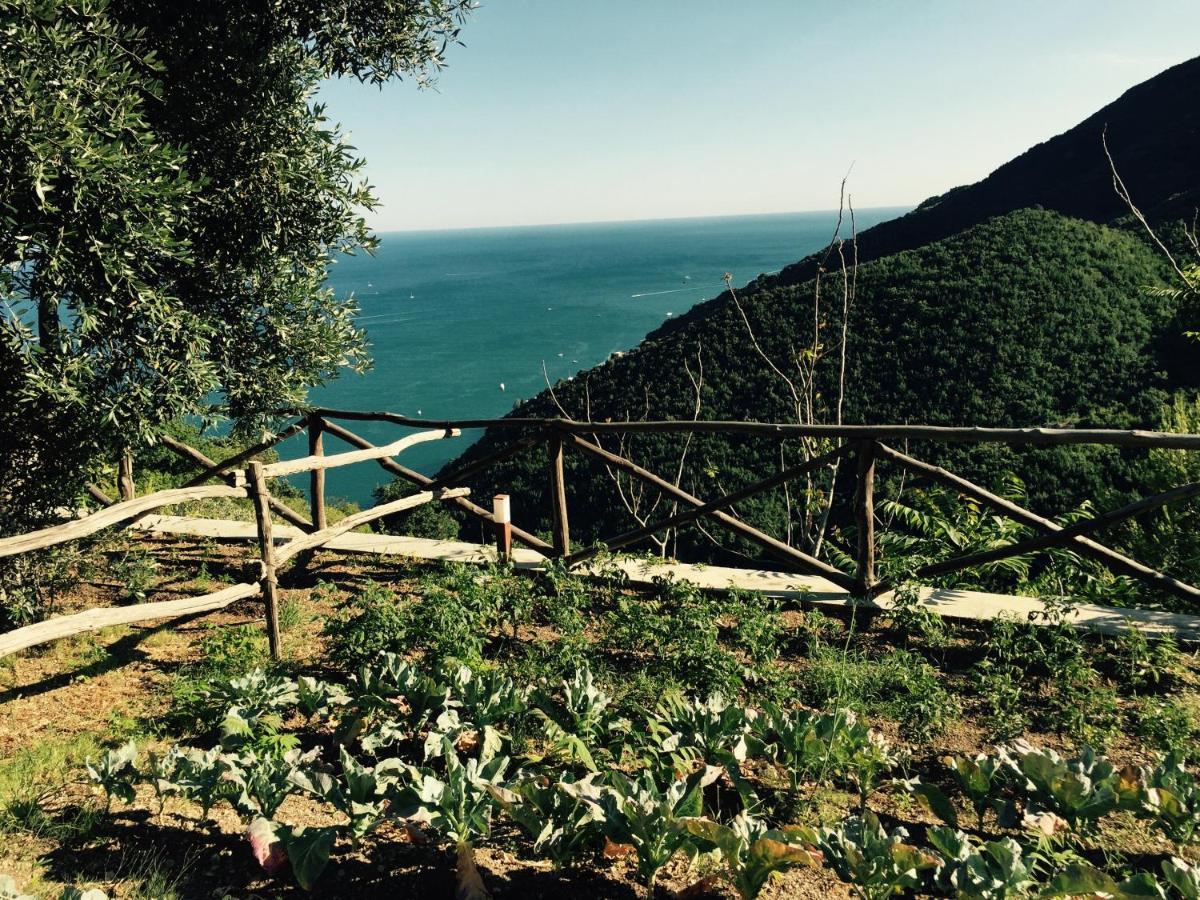 Casa Flora Bed & Breakfast Vietri sul Mare Exterior photo