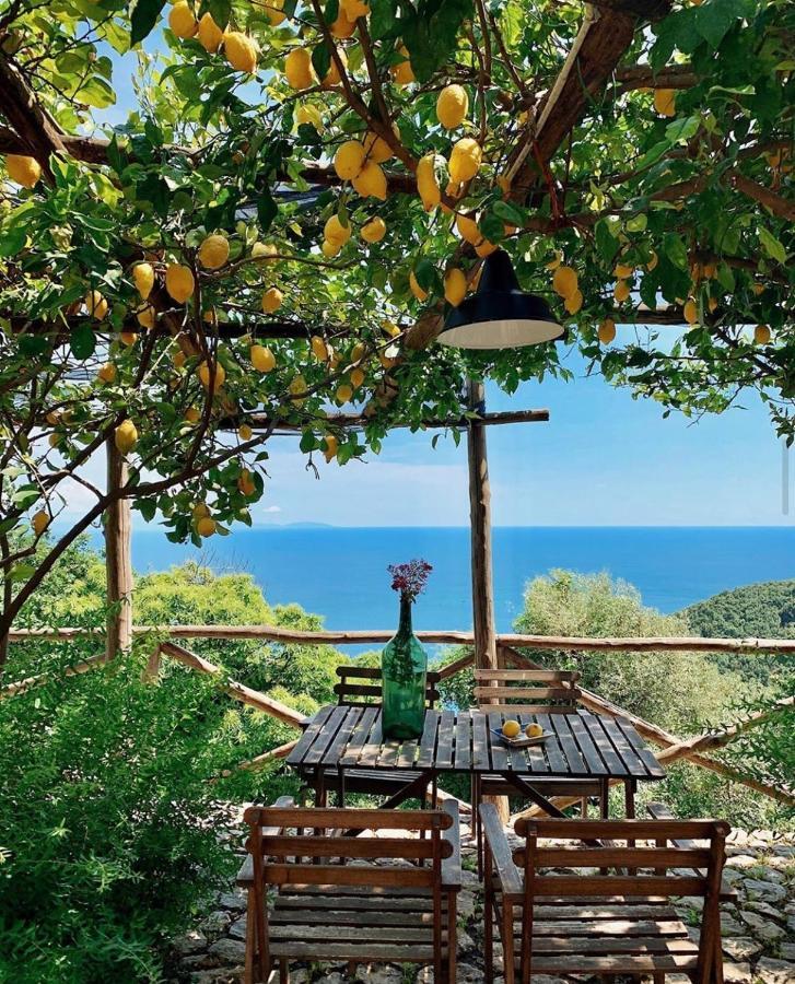 Casa Flora Bed & Breakfast Vietri sul Mare Exterior photo