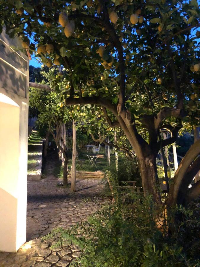 Casa Flora Bed & Breakfast Vietri sul Mare Exterior photo