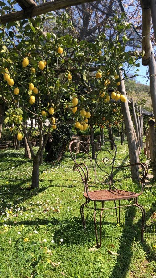 Casa Flora Bed & Breakfast Vietri sul Mare Exterior photo