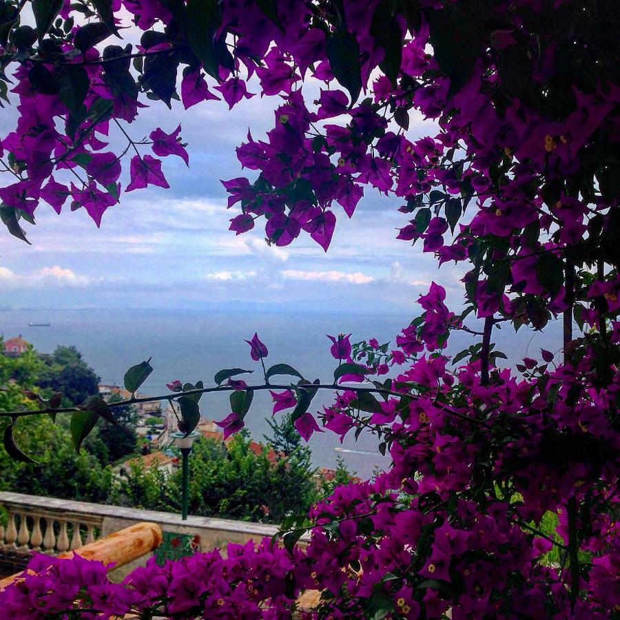 Casa Flora Bed & Breakfast Vietri sul Mare Exterior photo