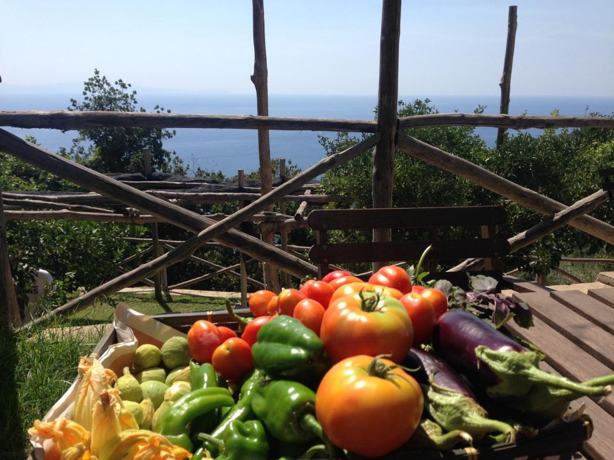 Casa Flora Bed & Breakfast Vietri sul Mare Exterior photo